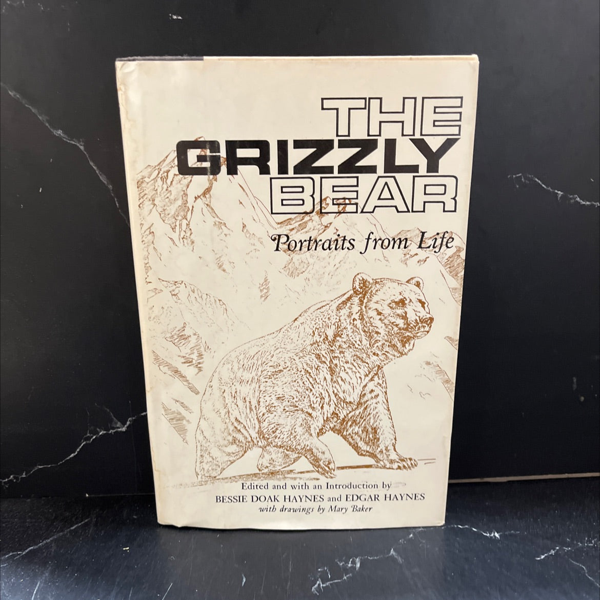 the grizzly bear portraits from life book, by bessie doak haynes, edgar haynes, 1979 Hardcover image 1