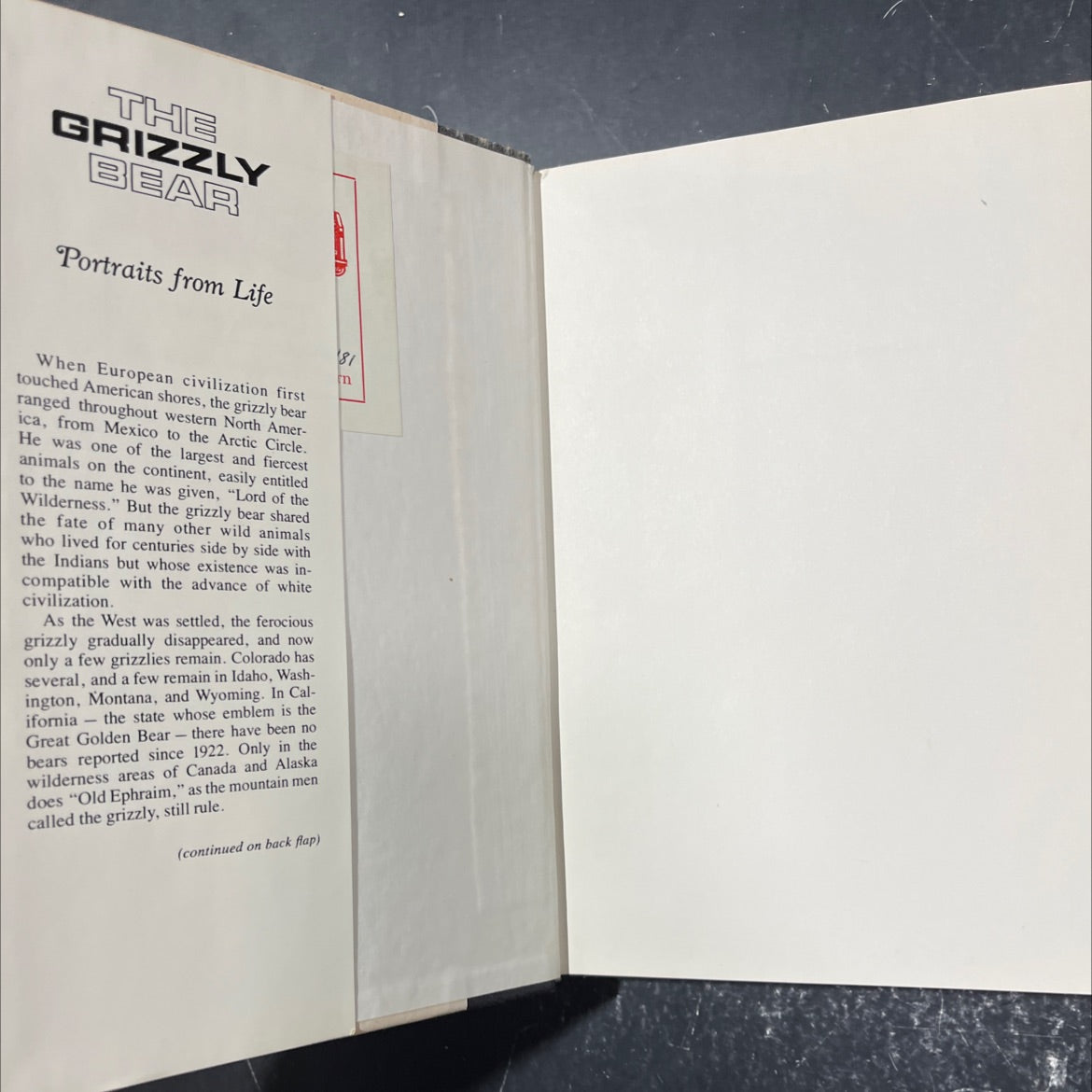 the grizzly bear portraits from life book, by bessie doak haynes, edgar haynes, 1979 Hardcover image 4
