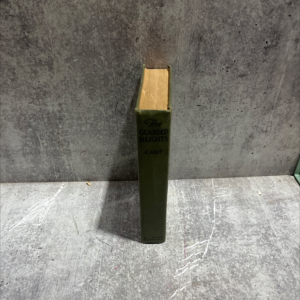 the guarded heights book, by wadsworth camp, 1921 Hardcover image 4
