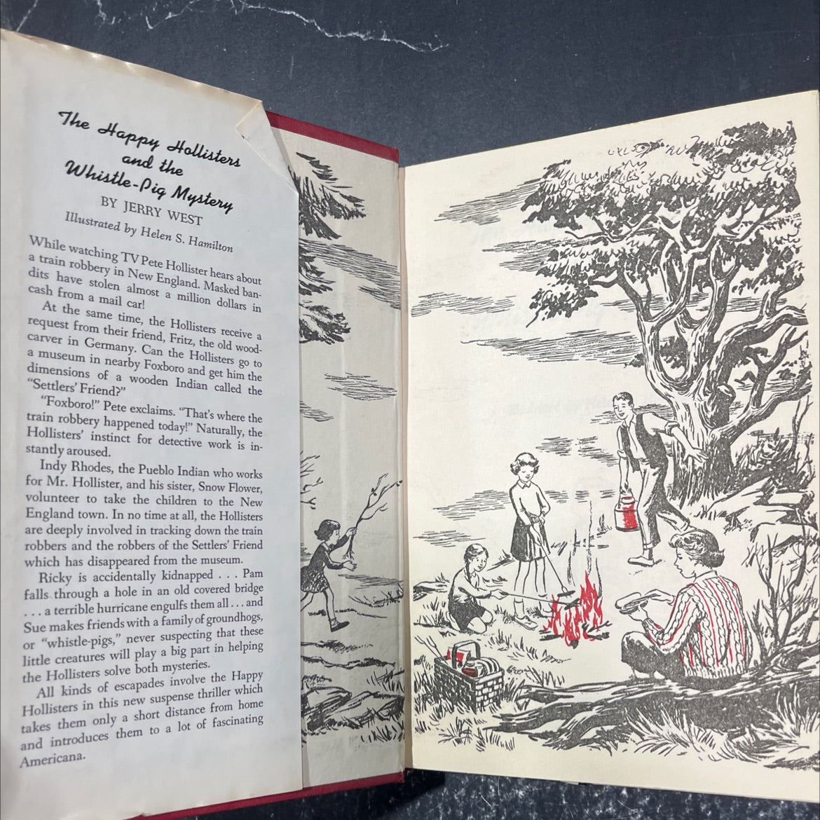 the happy hollisters and the whistle-pig mystery book, by jerry west, 1964 Hardcover image 4