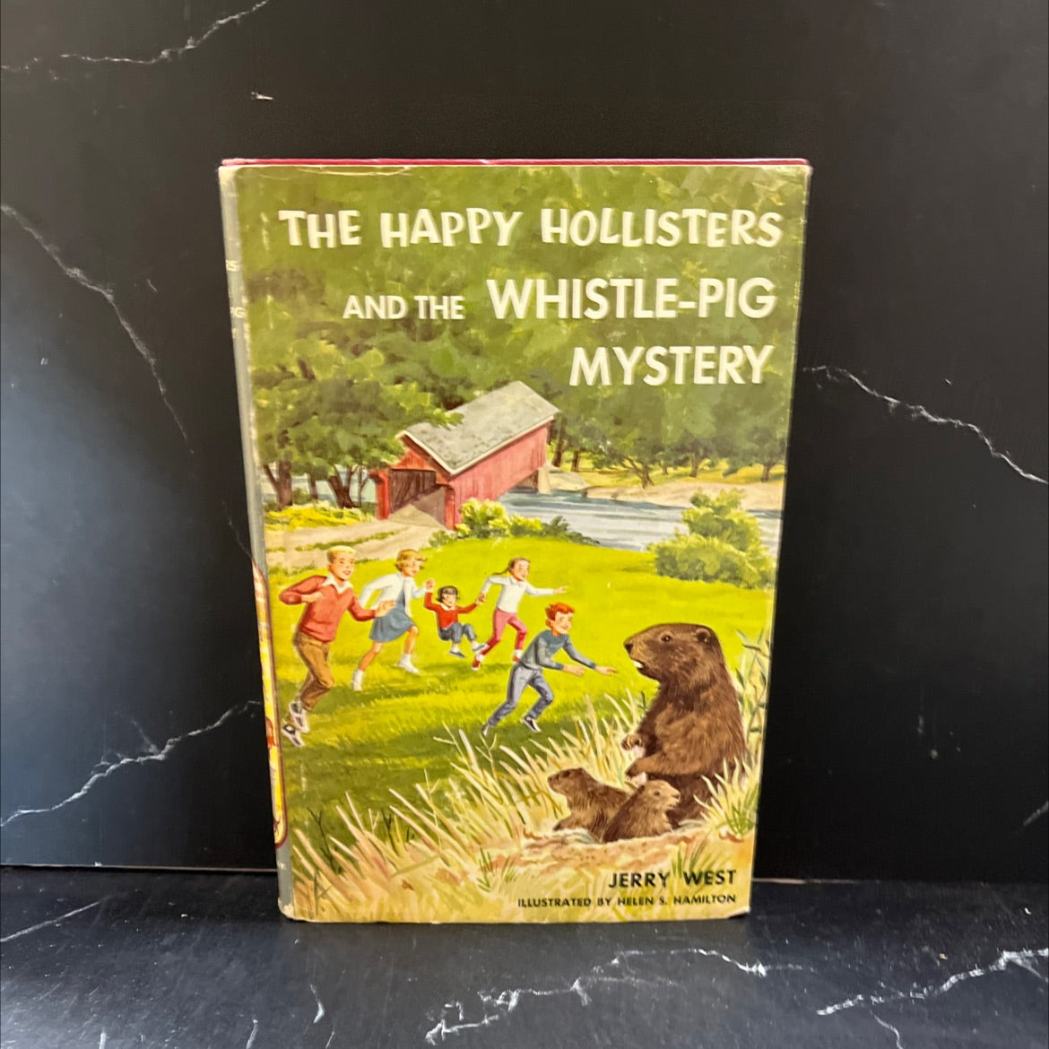 the happy hollisters and the whistle-pig mystery book, by jerry west, 1964 Hardcover image 1