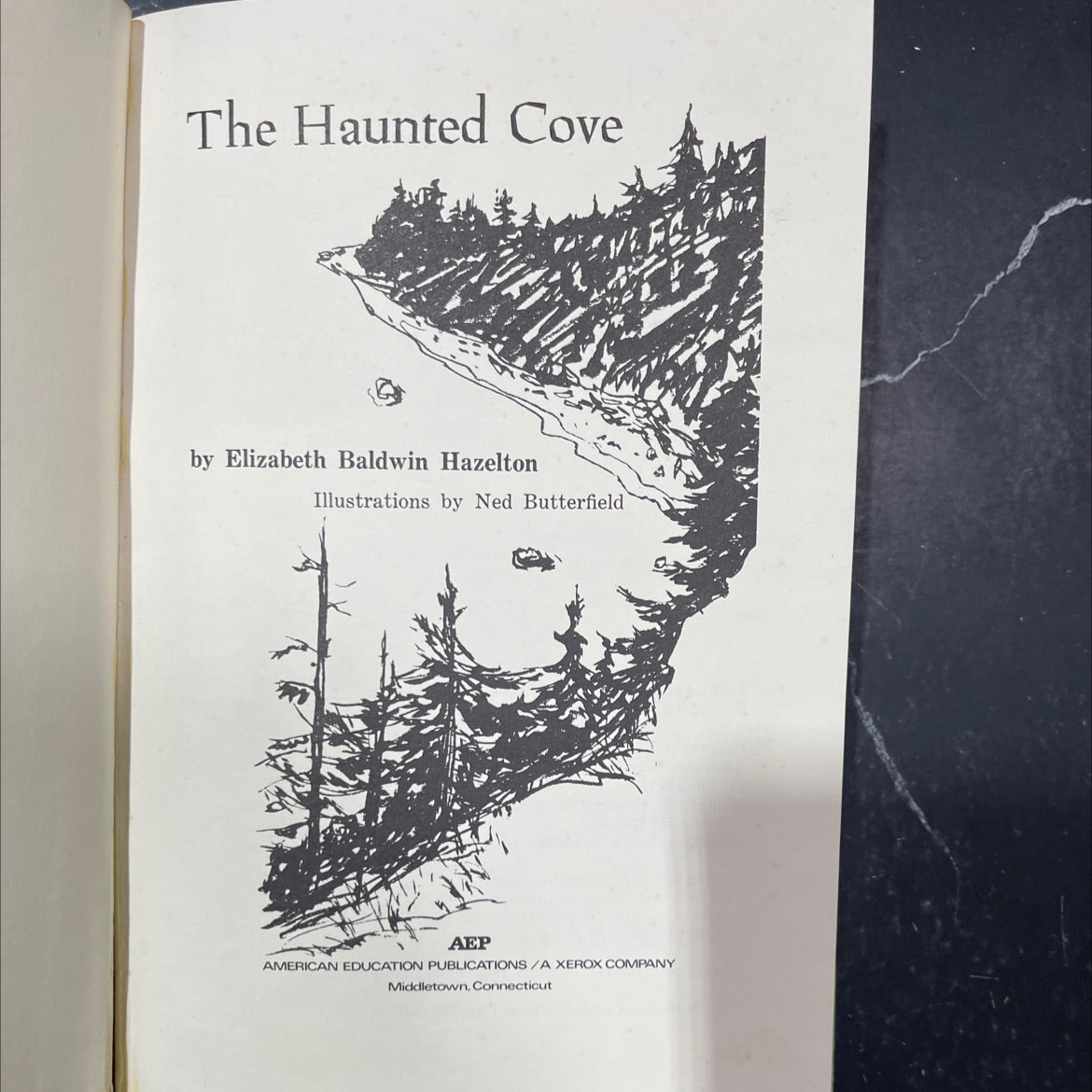the haunted cove book, by elizabeth baldwin hazelton, 1971 Hardcover image 2