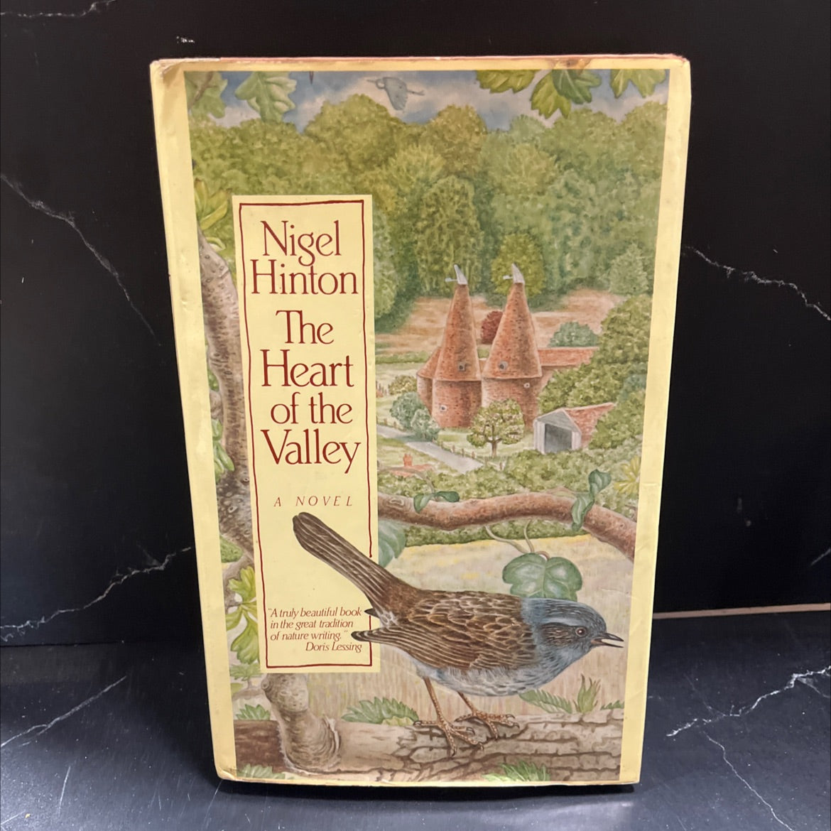 the heart of the valley book, by Nigel Hinton, 1986 Hardcover image 1