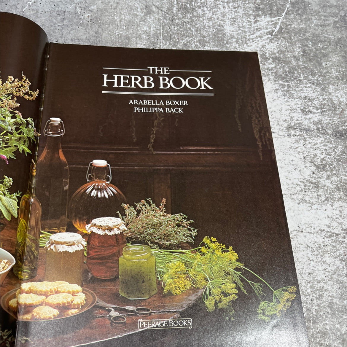 the herb book book, by arabella boxer, philippa back, 1985 Hardcover image 2