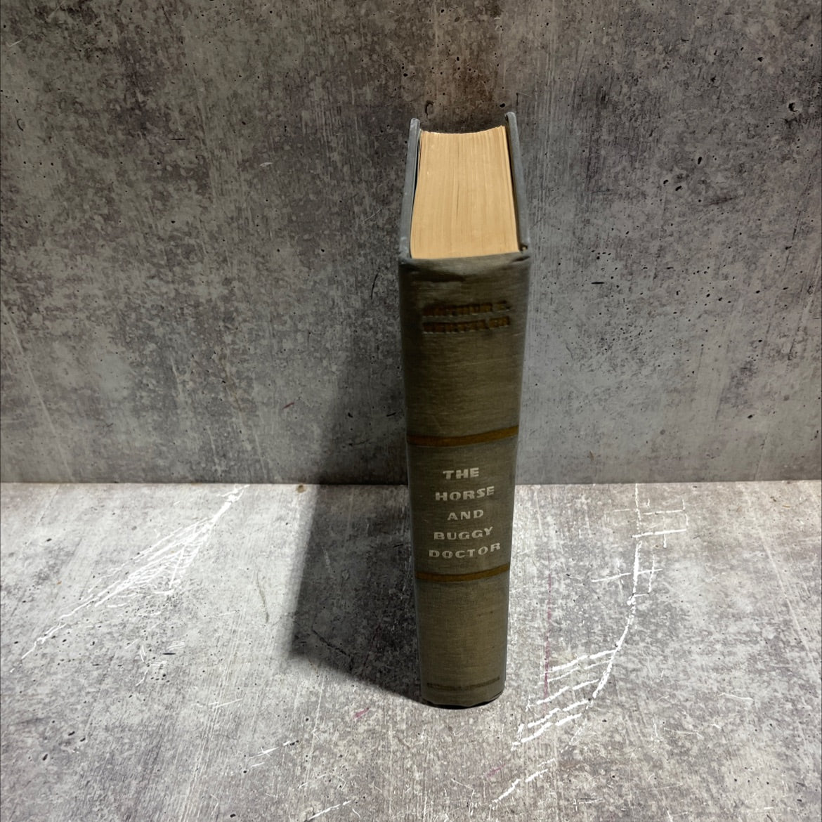 the horse and buggy doctor book, by arthur e. hertzler, m.d., 1938 Hardcover image 4