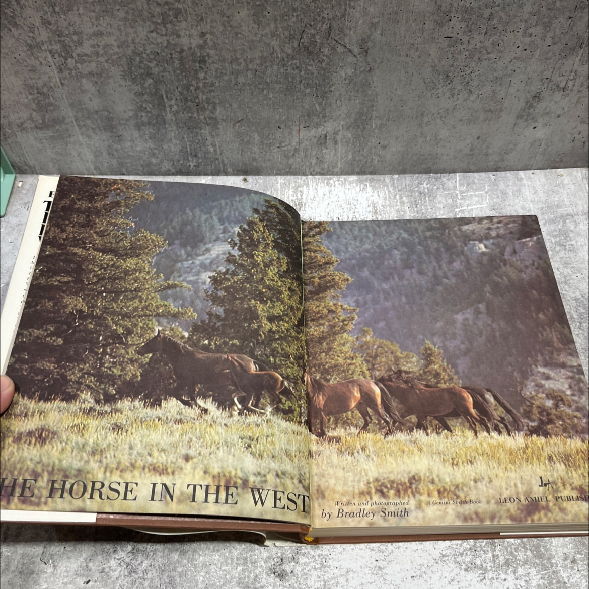 the horse in the west book, by bradley smith, 1969 Hardcover image 2