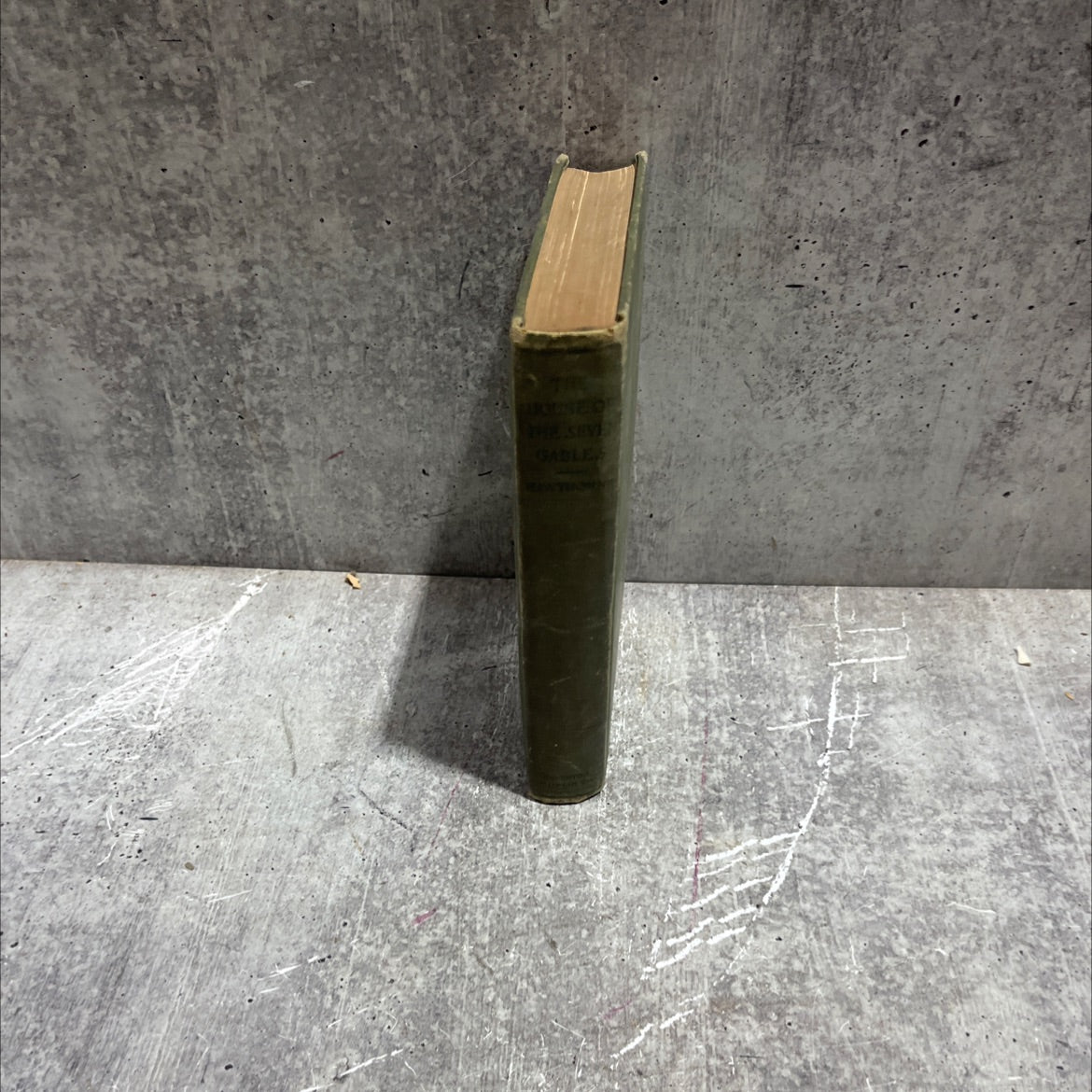 the house of the seven gables book, by nathaniel hawthorne, 1904 Hardcover image 4