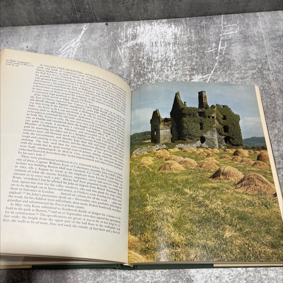 the houses book, by george mot, brian de breffny, rosemary ffolliott, 1975 Hardcover image 4