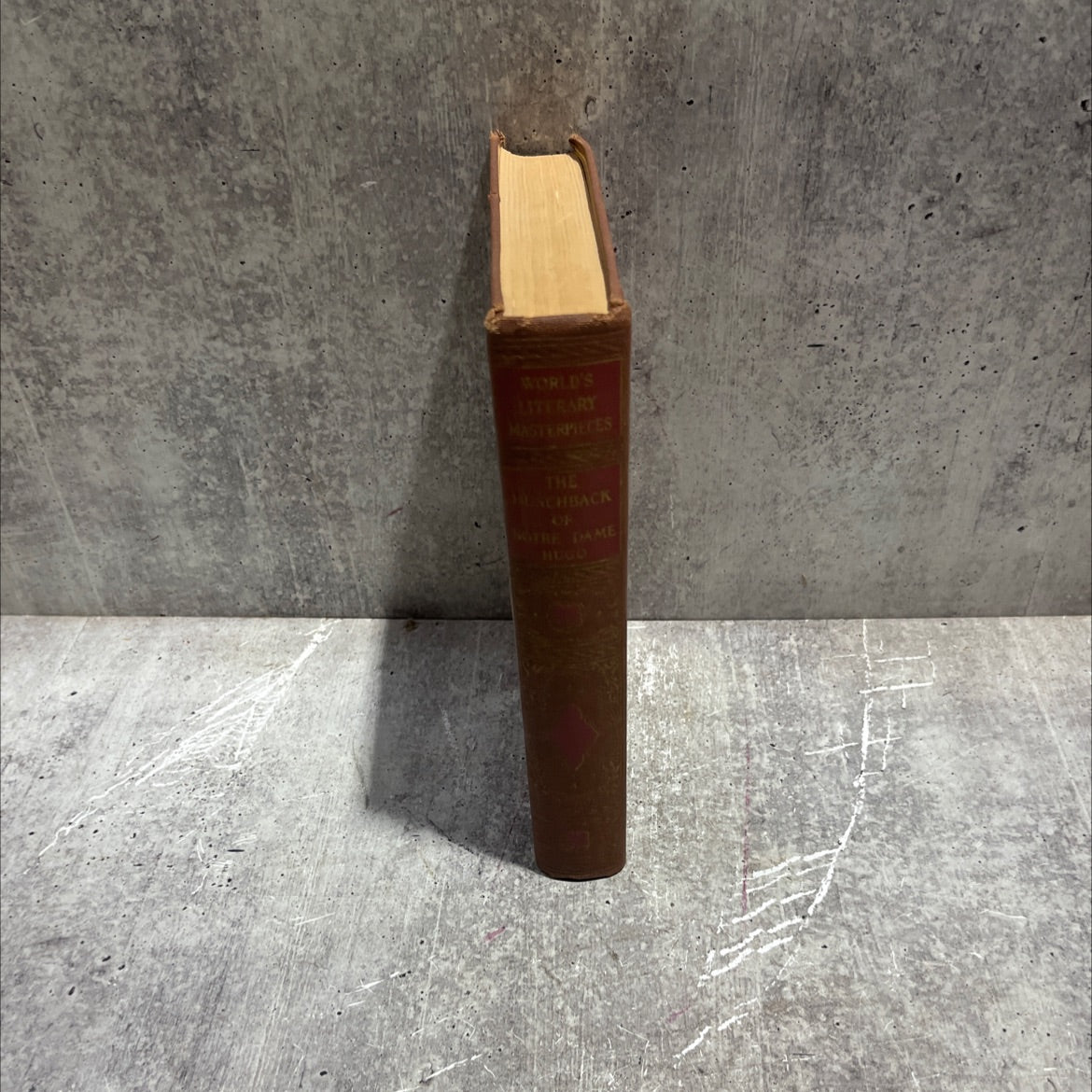 the hunchback of notre dame book, by victor hugo, 1970 Hardcover image 4