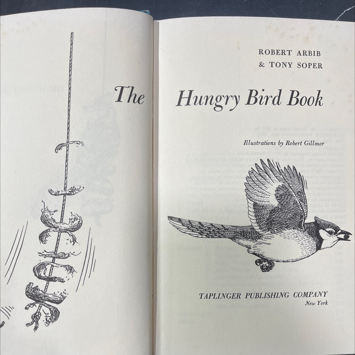 the hungry bird book book, by robert arbib & tony soper, 1971 Hardcover image 2