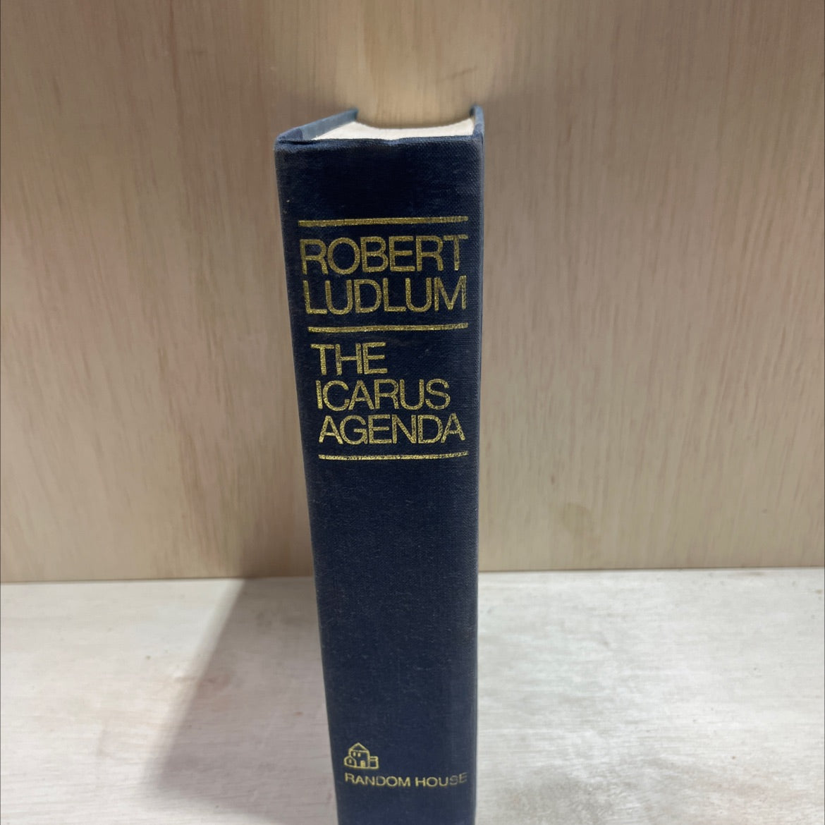 the icarus agenda book, by robert ludlum, 1988 Hardcover image 4