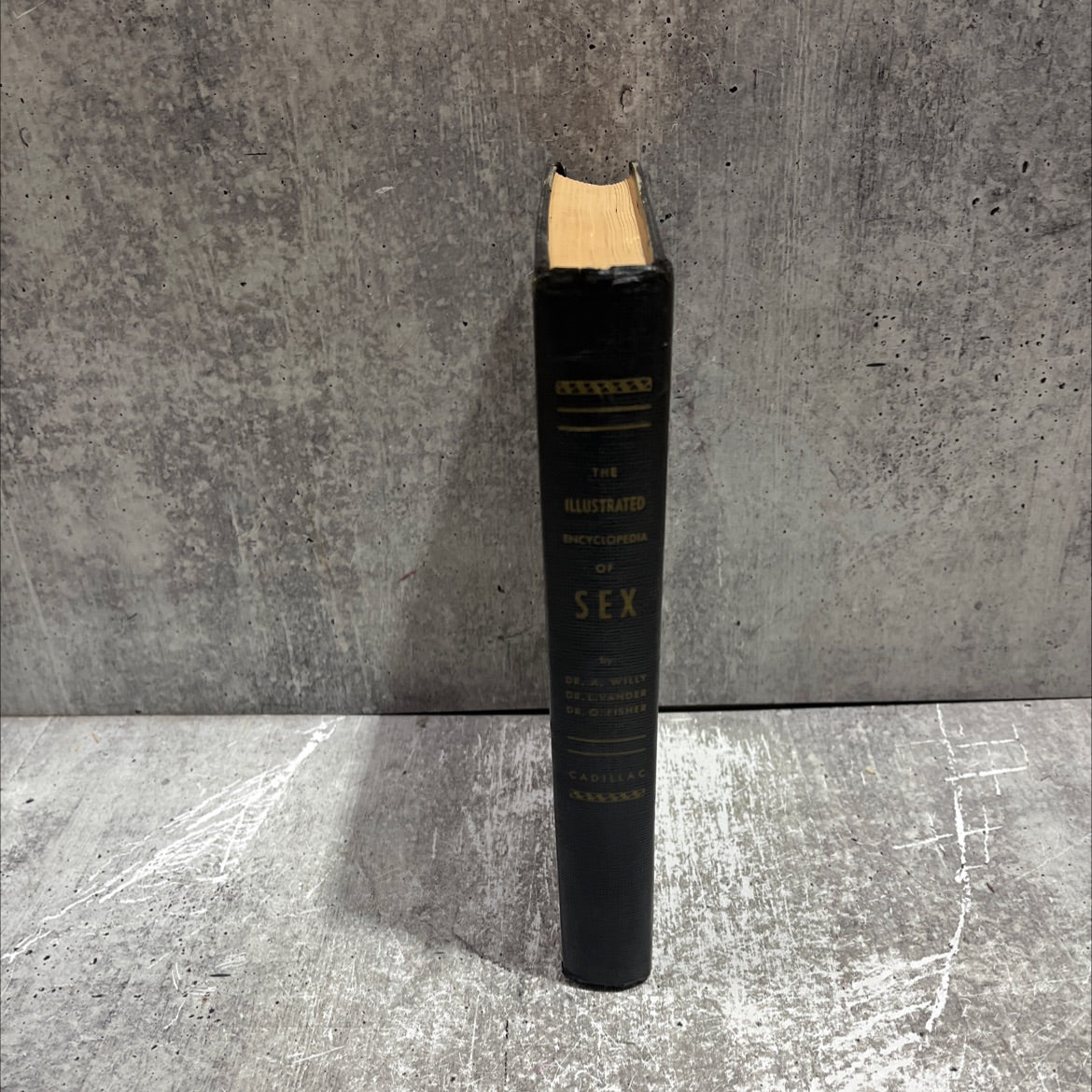 the illustrated encyclopedia of sex book, by drs. willy, vander and fisher, 1962 Hardcover image 4
