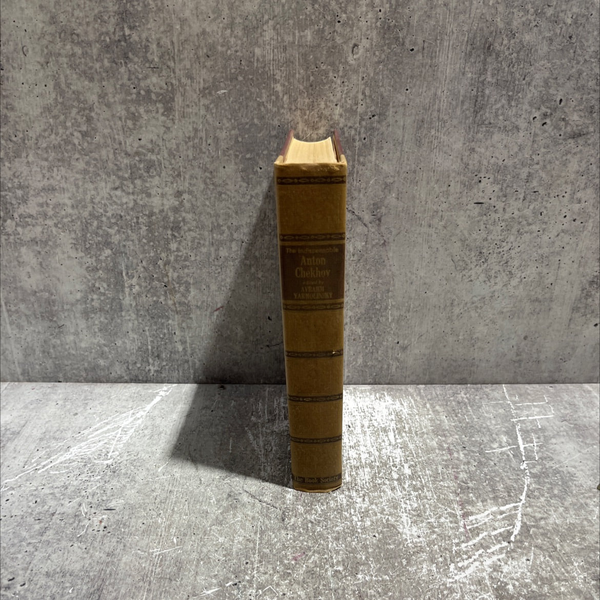 the indispensable chekhov book, by anton chekhov, 1951 Hardcover image 4