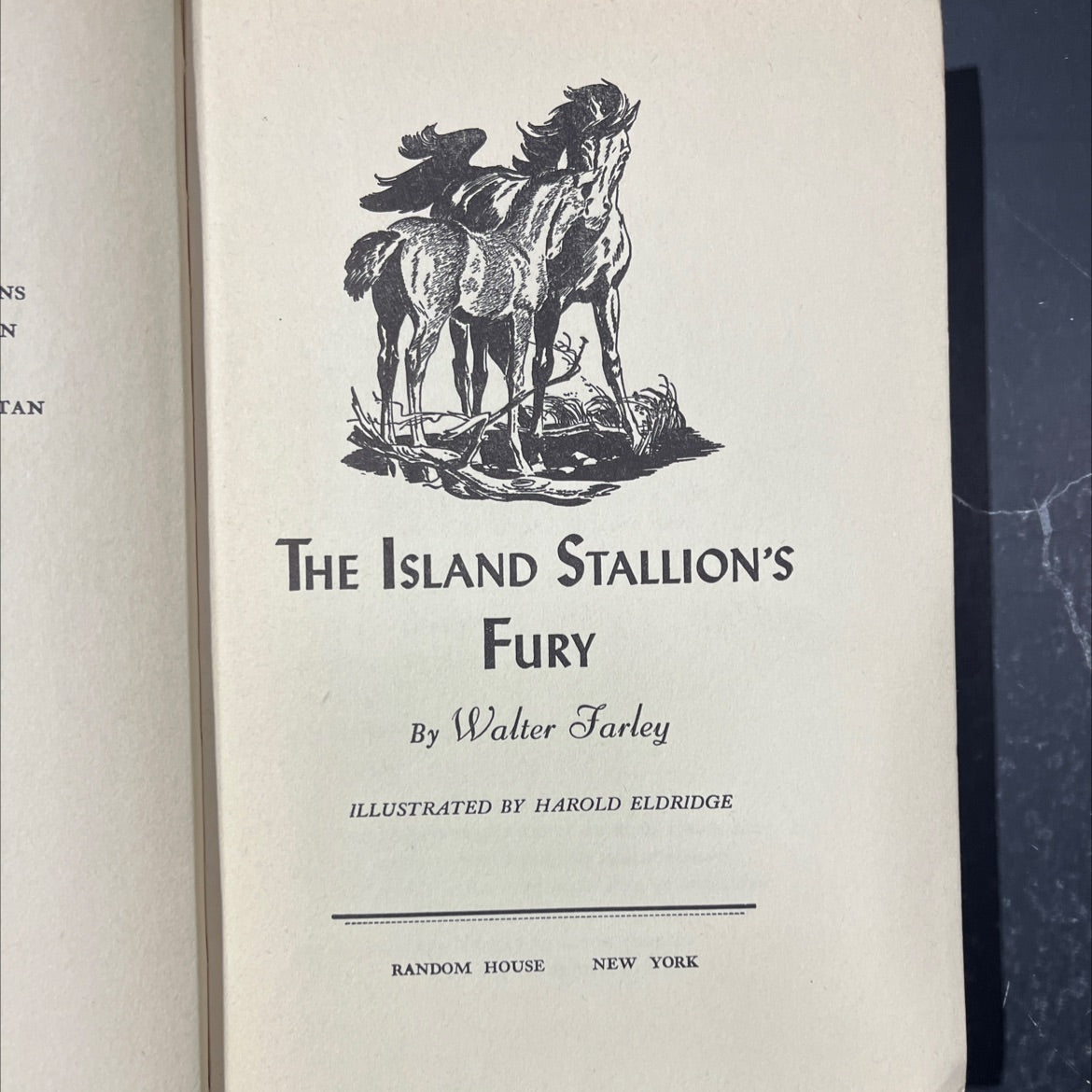 the island stallion's fury book, by Walter Farley, 1951 Hardcover image 2
