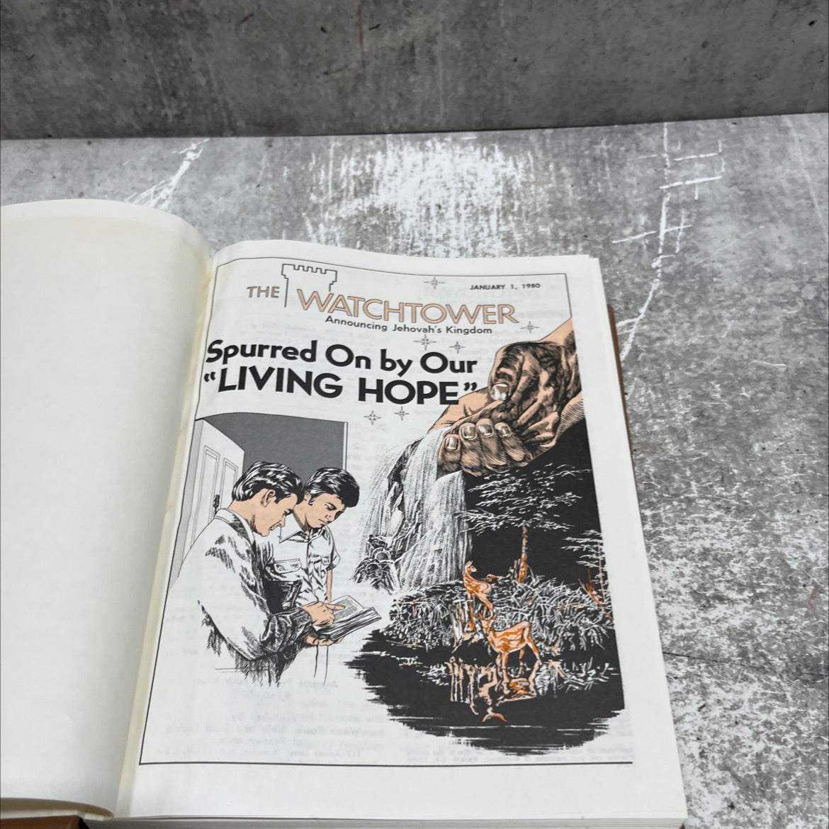 the january 1, 1980 watchtower announcing jehovah's kingdom spurred on by our \"living hope\" book, by unknown, 1980 image 2