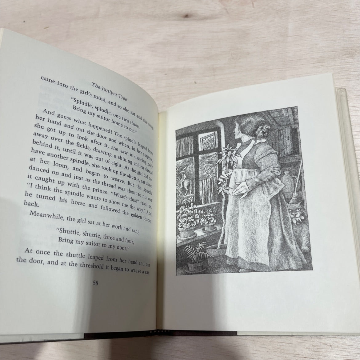 the juniper tree and other tales from grimm book, by lore segal and maurice sendak, 1973 Hardcover image 4