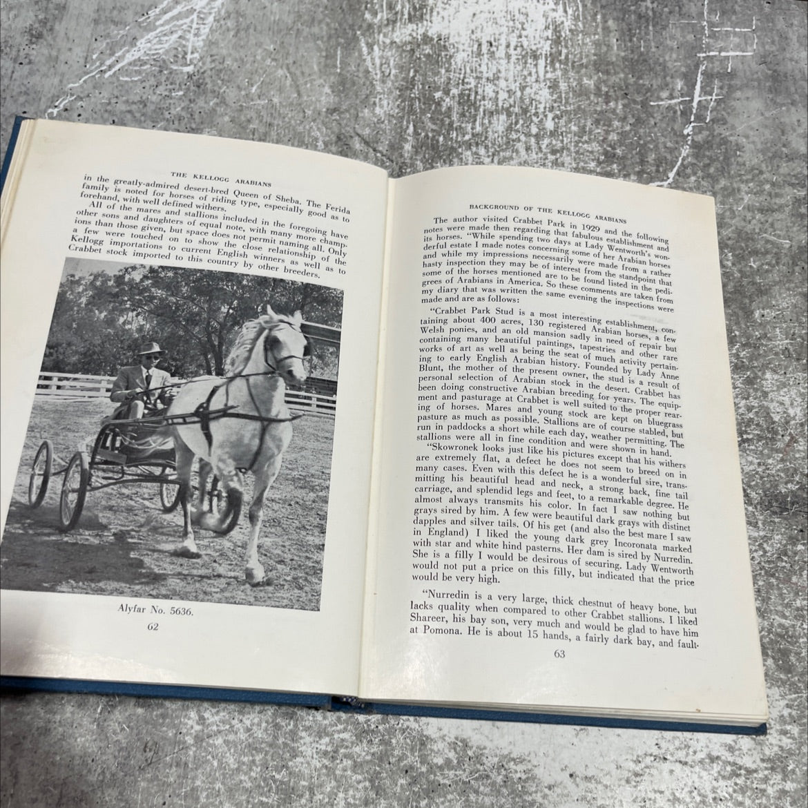 the kellogg arabians their background and influence book, by herbert h. reese, 1967 Hardcover image 4