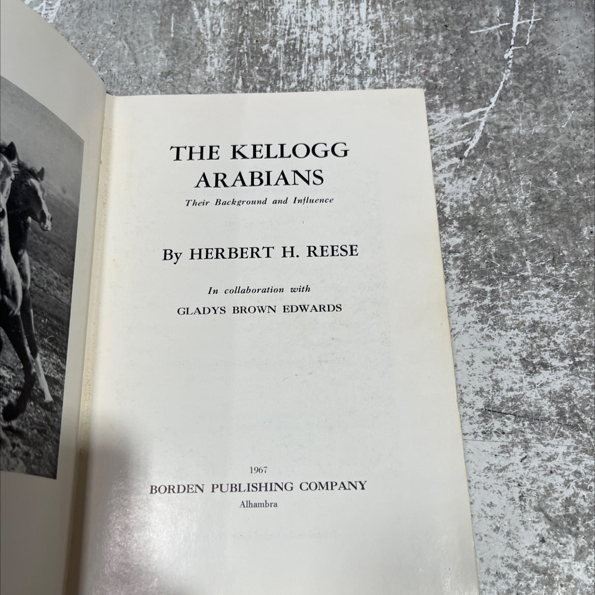 the kellogg arabians their background and influence book, by herbert h. reese, 1967 Hardcover image 2