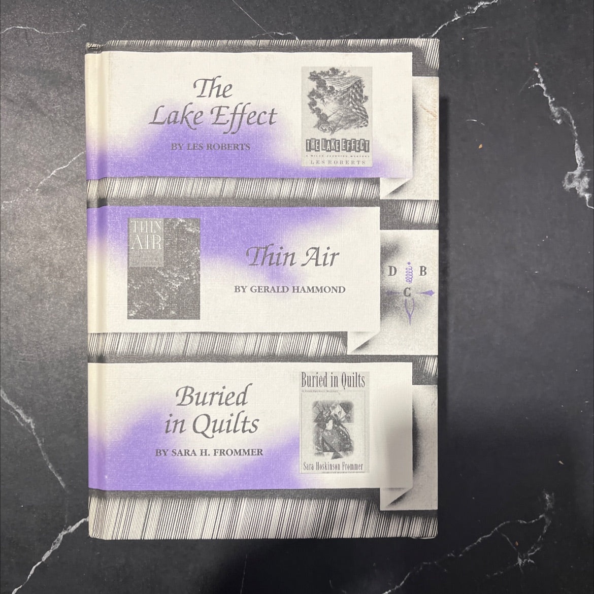 the lake effect book, by les roberts, 1994 Hardcover image 1