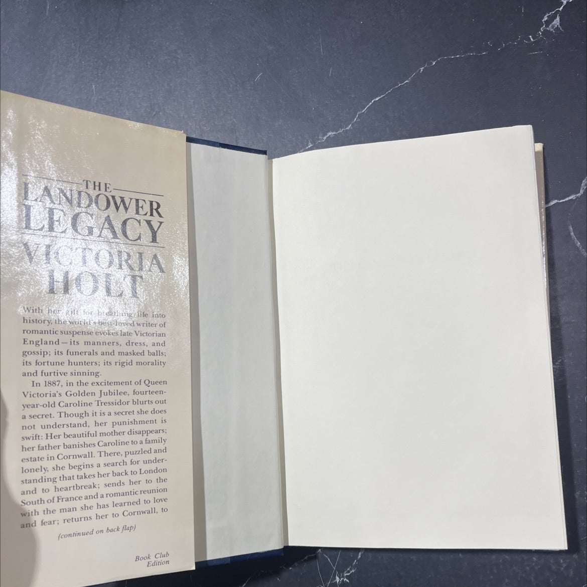 the landower legacy book, by Victoria Holt, 1984 Hardcover image 4