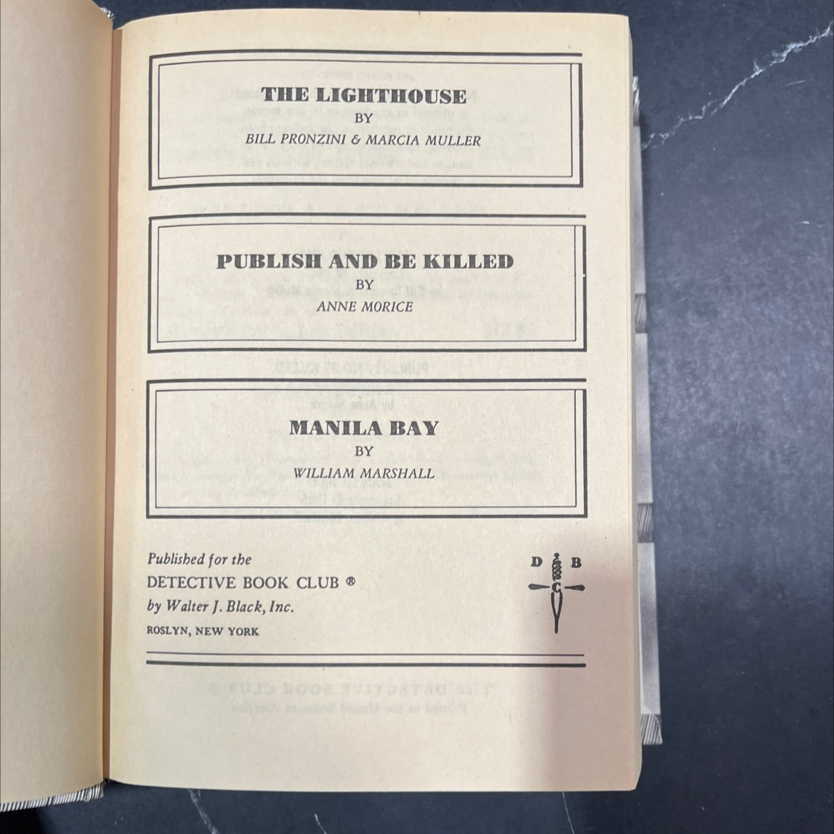 the lighthouse book, by Bill Pronzini & Marcia Muller, 1987 Hardcover image 2