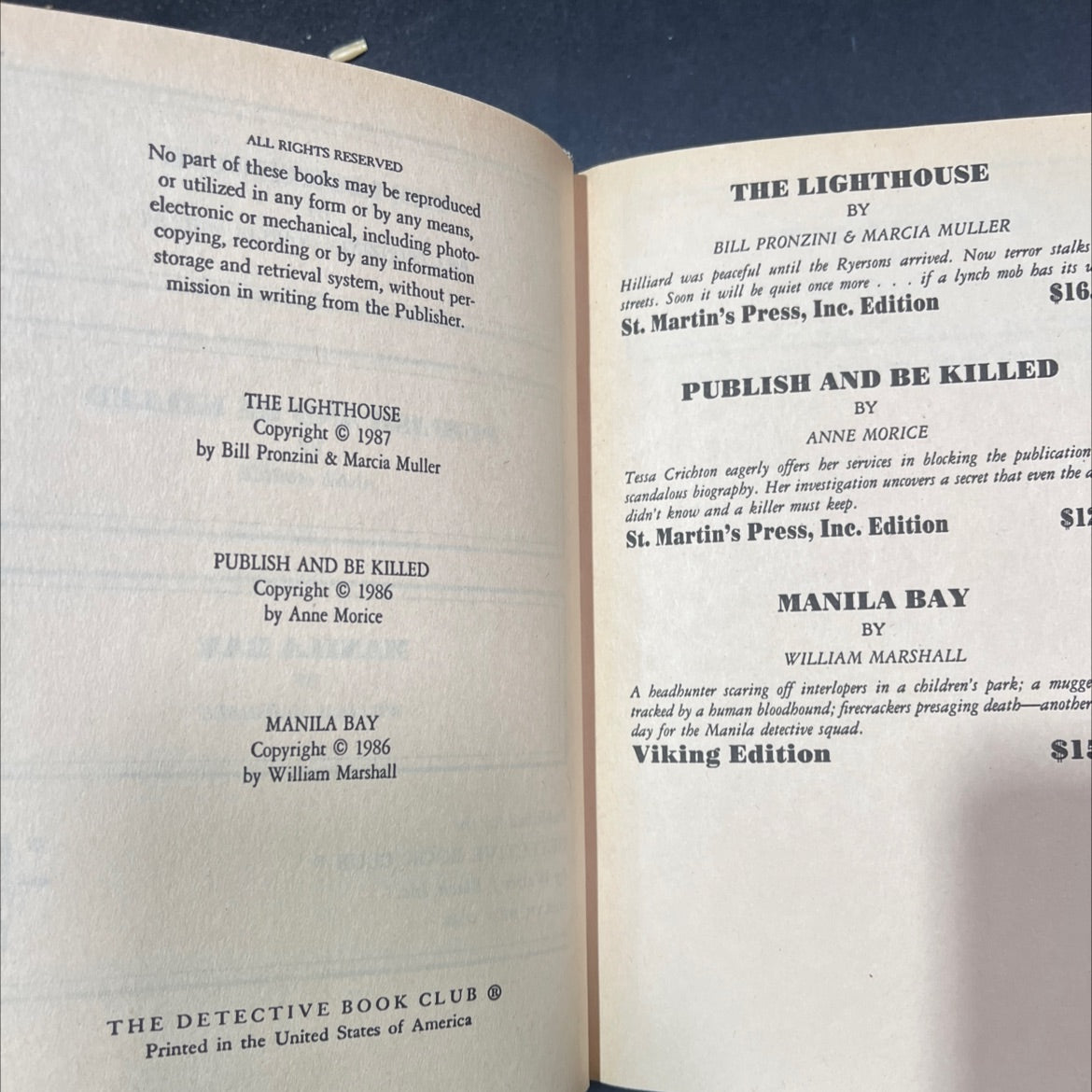 the lighthouse book, by Bill Pronzini & Marcia Muller, 1987 Hardcover image 3