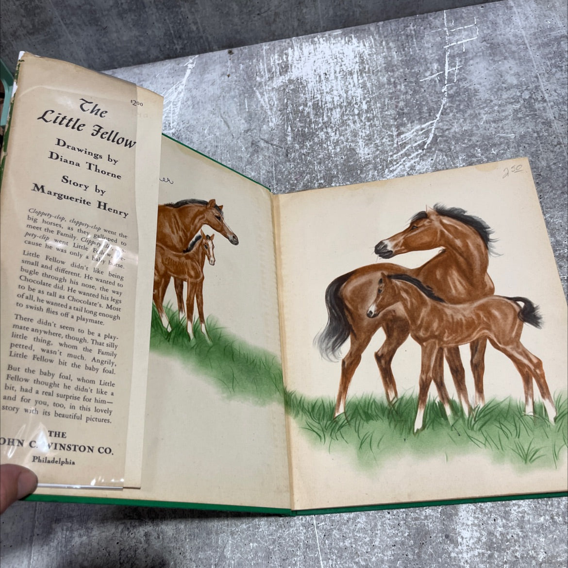 the little fellow book, by Marguerite Henry, 1945 Hardcover image 4
