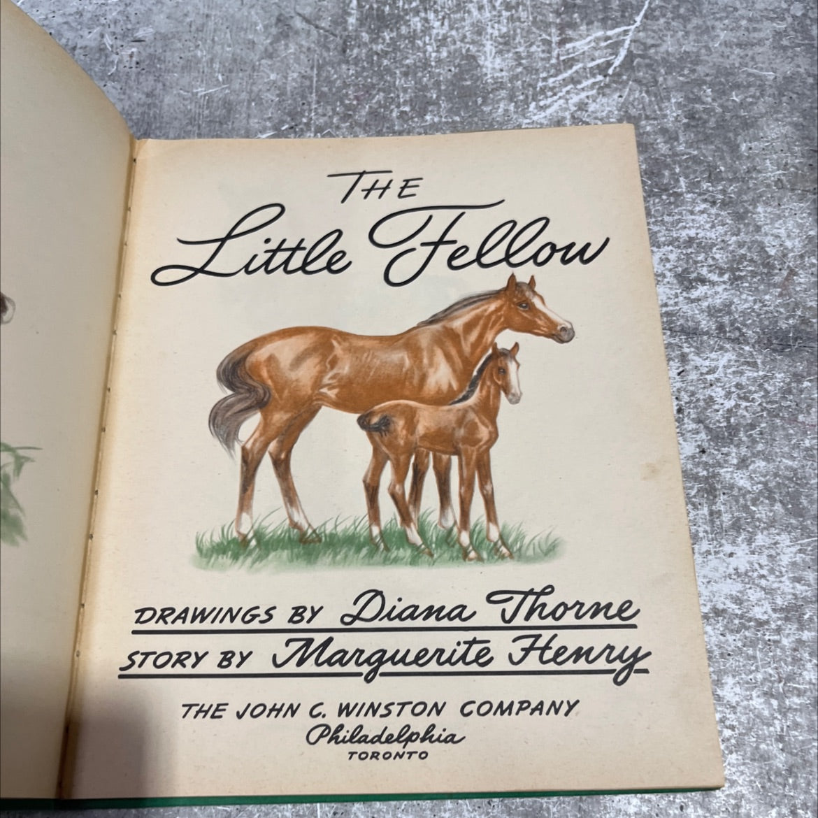 the little fellow book, by Marguerite Henry, 1945 Hardcover image 2