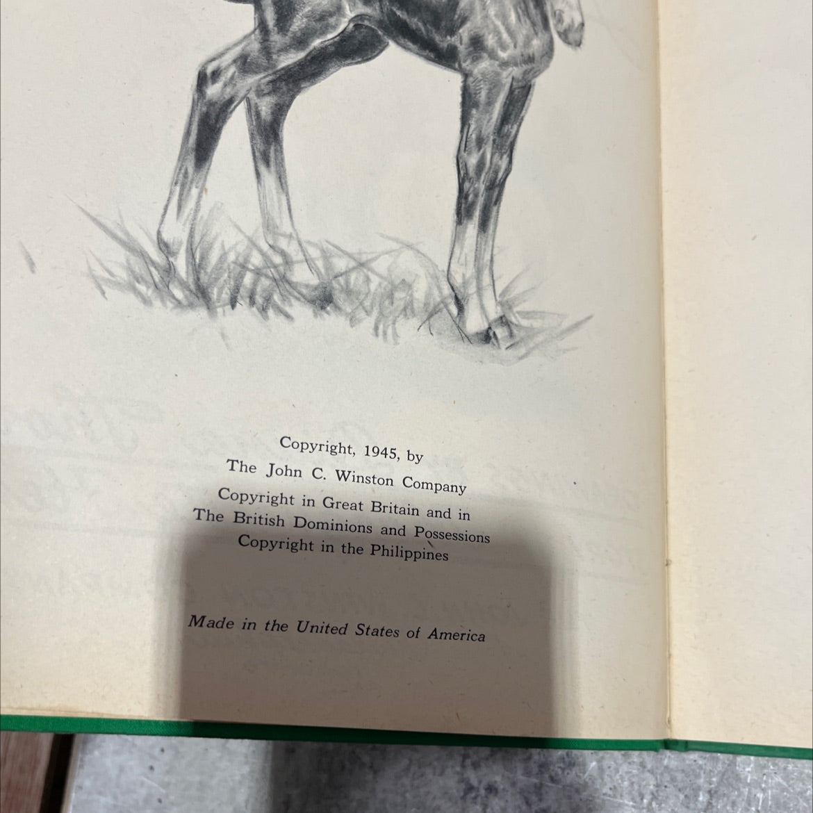 the little fellow book, by Marguerite Henry, 1945 Hardcover image 3
