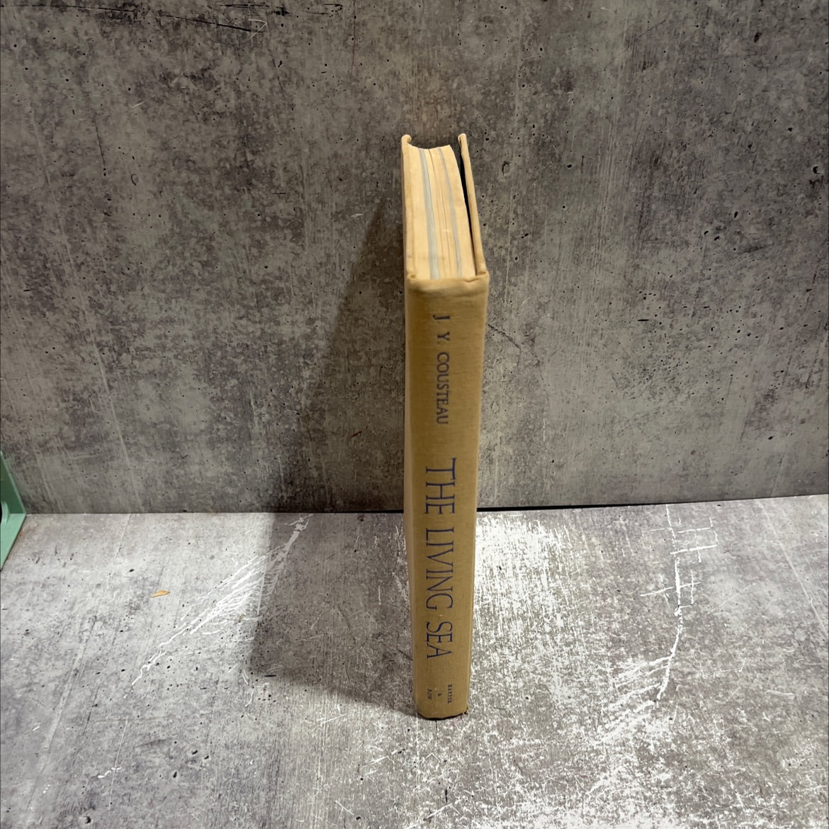 the living sea book, by james dugan, 1963 Hardcover image 4
