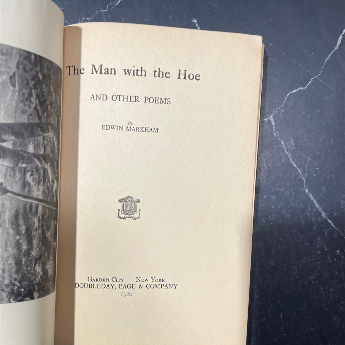 the man with the hoe and other poems book, by edwin markham, 1920 Hardcover image 2