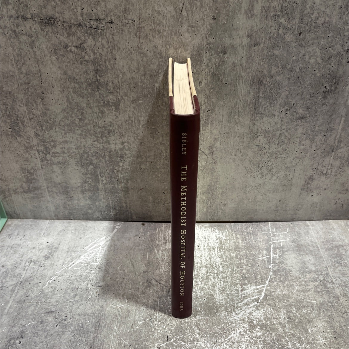 the methodist hospital of houston: serving the world book, by marilyn mcadams sibley, 1989 Hardcover image 4