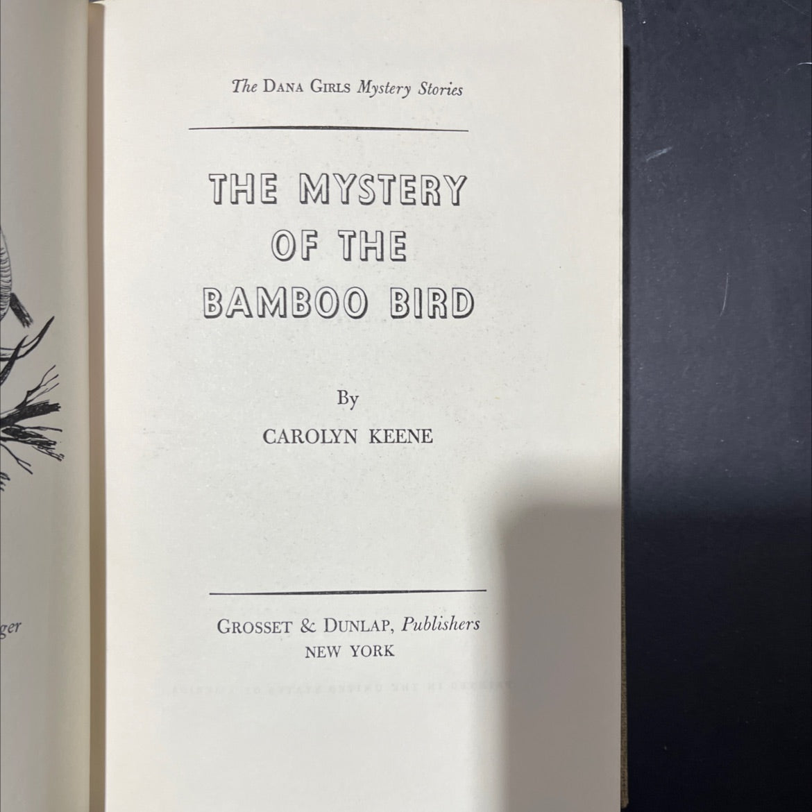 the mystery of the bamboo bird book, by carolyn keene, 1960 Hardcover image 2