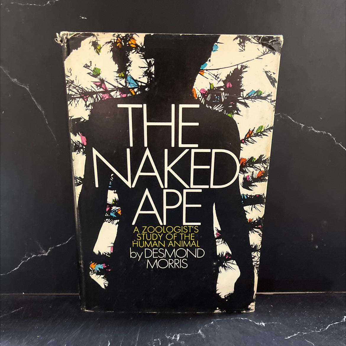 the naked ape a zoologist's study of the human animal book, by desmond morris, 1967 Hardcover image 1