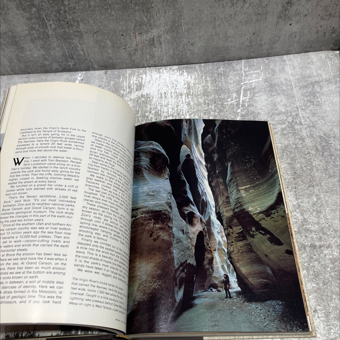the new america's wonderlands our national parks book, by unknown, 1975 Hardcover image 4