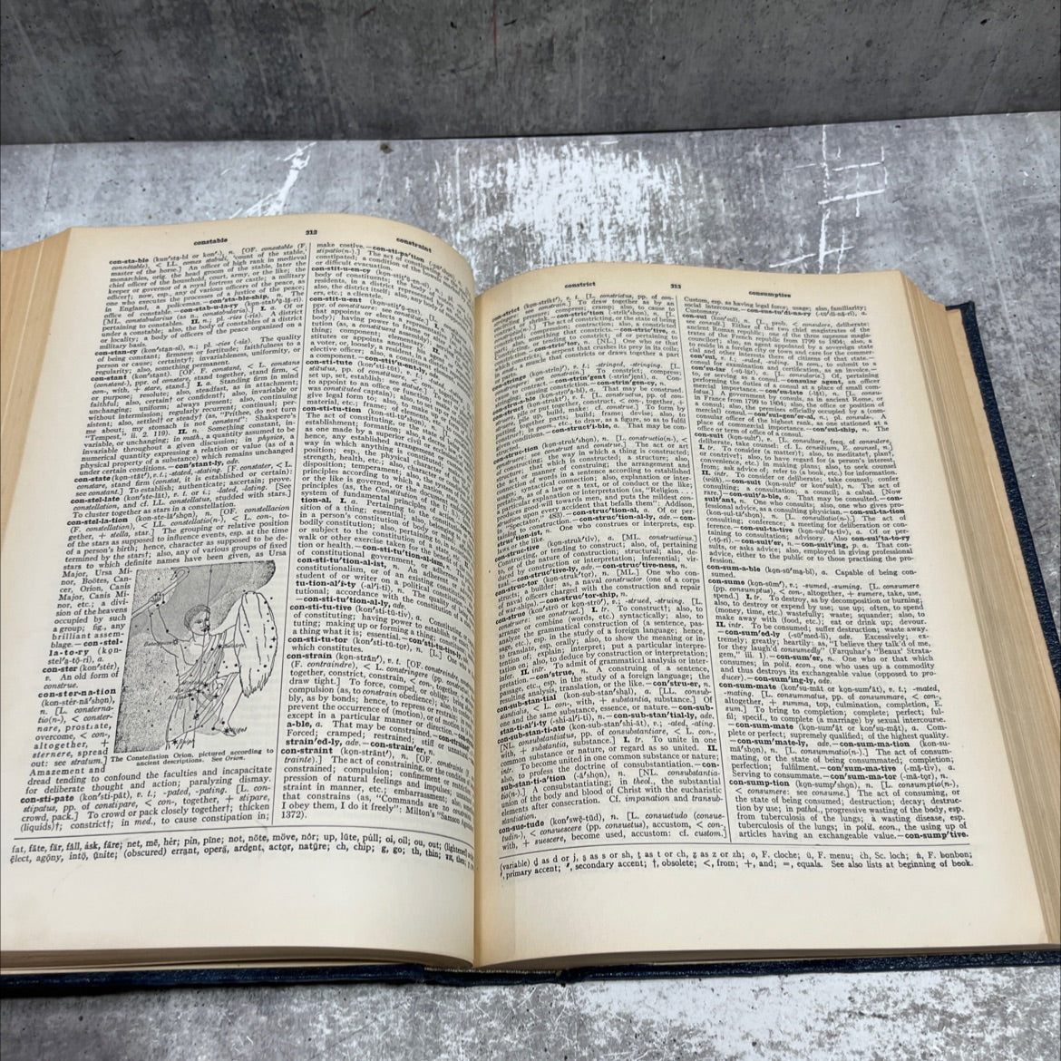 the new century dictionary u. of the english language book, by h.g. emery and k. g. brewster, 1936 Hardcover image 4