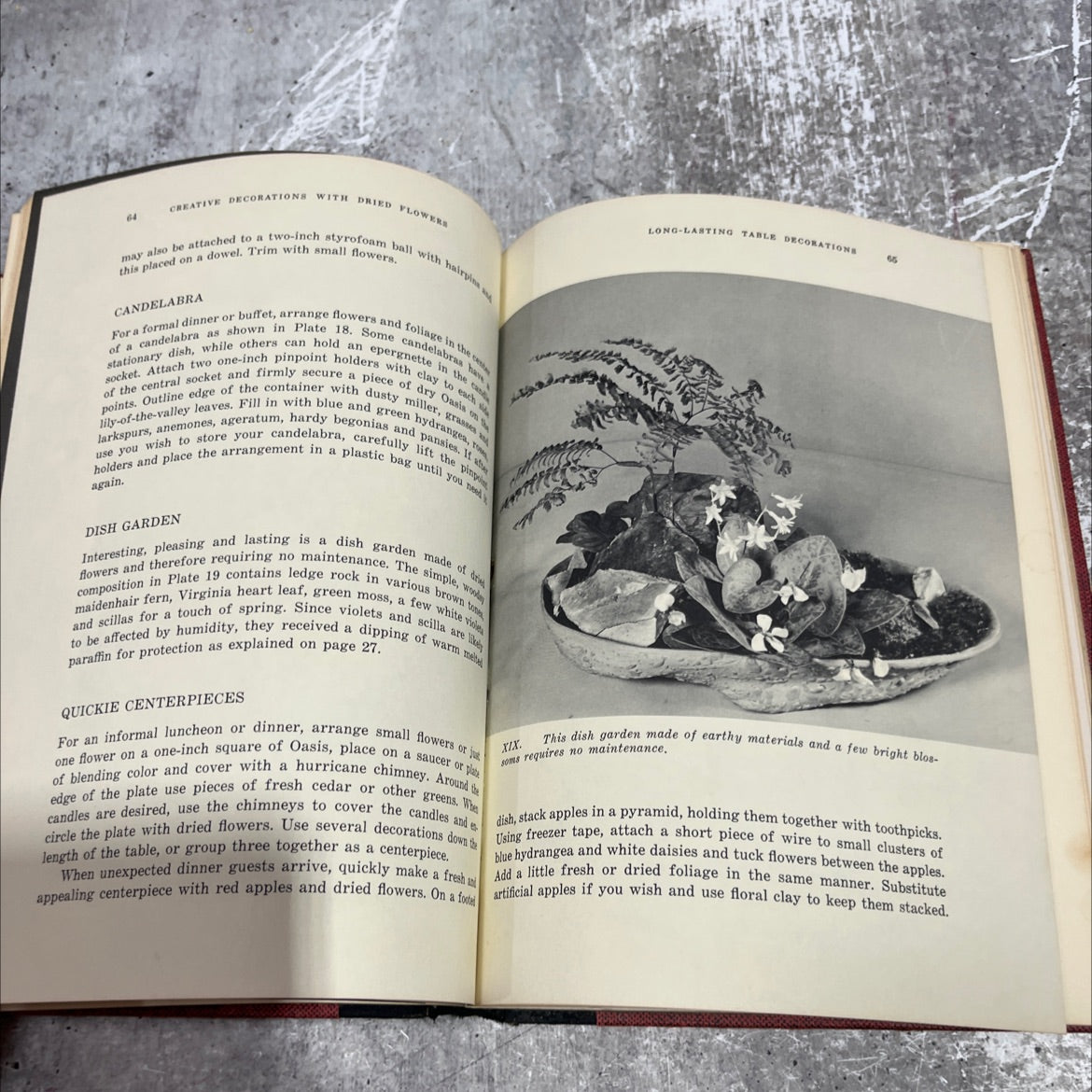 the new creative decorations with dried flowers book, by dorothea schnibben thompson, 1972 Hardcover image 4