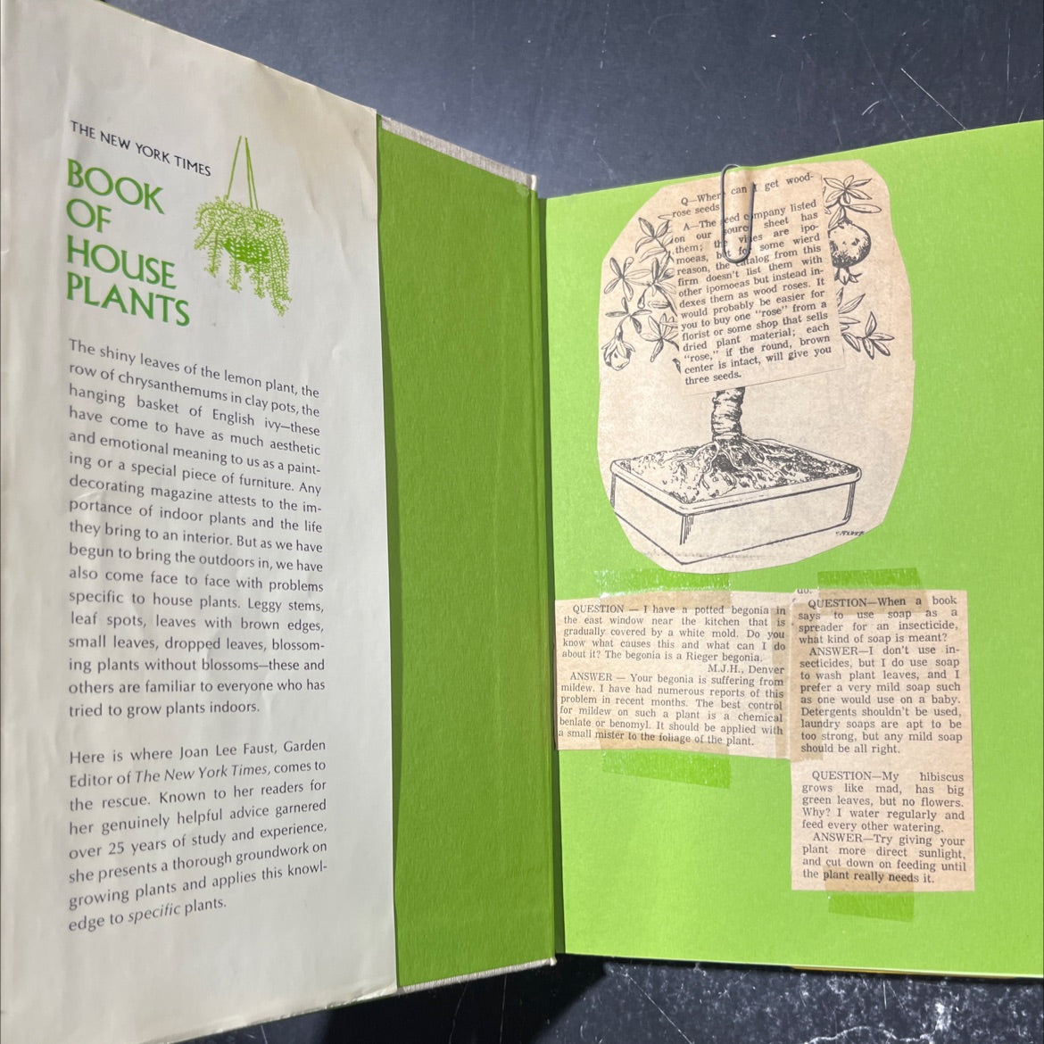 the new york times book of house plants book, by joan lee faust, 1973 Hardcover image 4