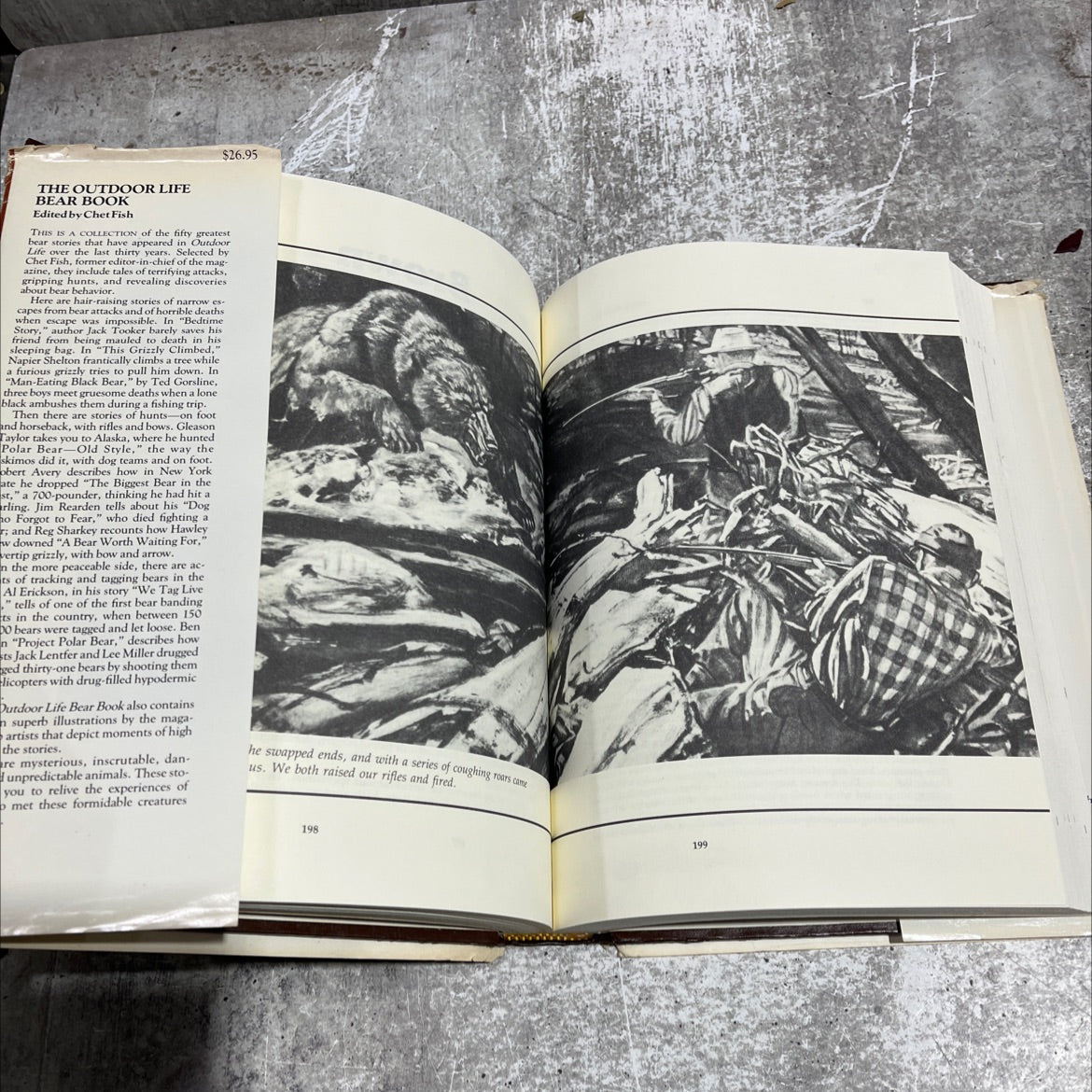 the outdoor life bear book book, by Chet Fish, 1983 Hardcover image 4