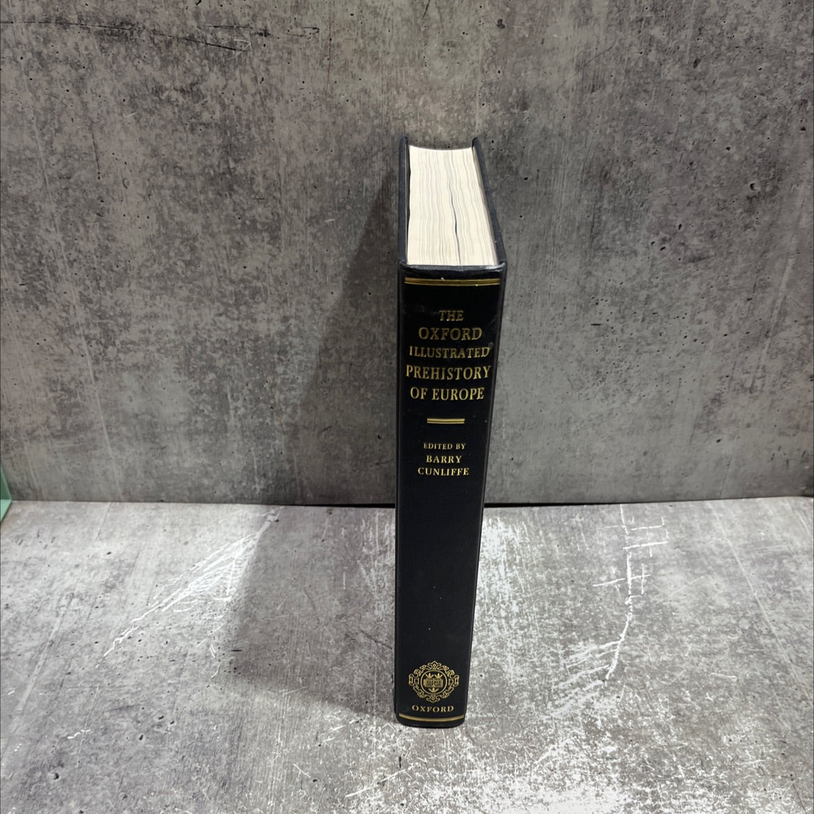 the oxford illustrated prehistory of europe book, by barry cunliffe, 1994 Hardcover image 4