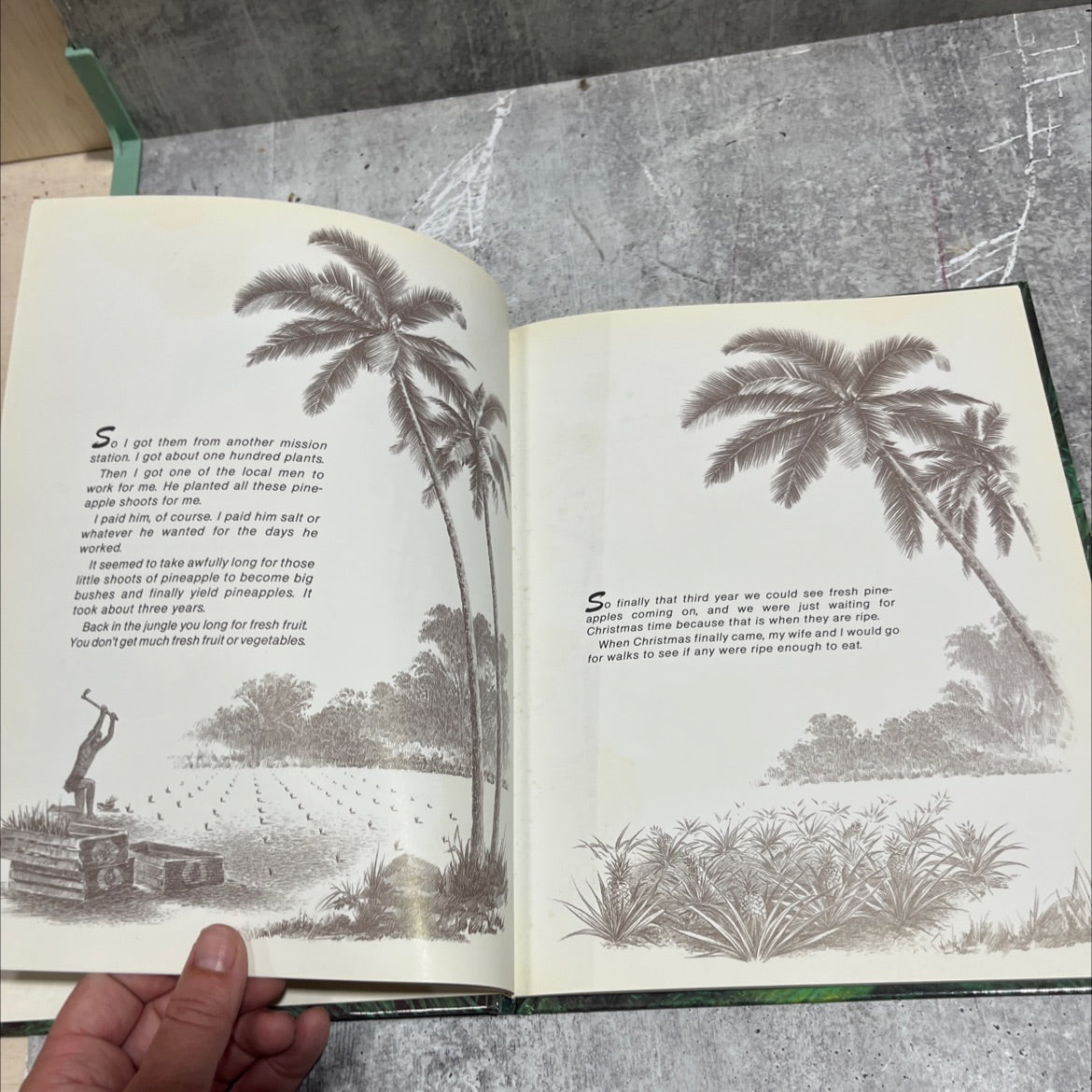 the pineapple story how to conquer anger book, by unknown, 1999 Hardcover image 4