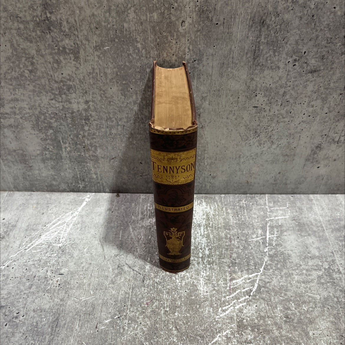 the poetical works of alfred tennyson; poet laureate. complete edition, illustrated book, by alfred tennyson, 1880 image 4