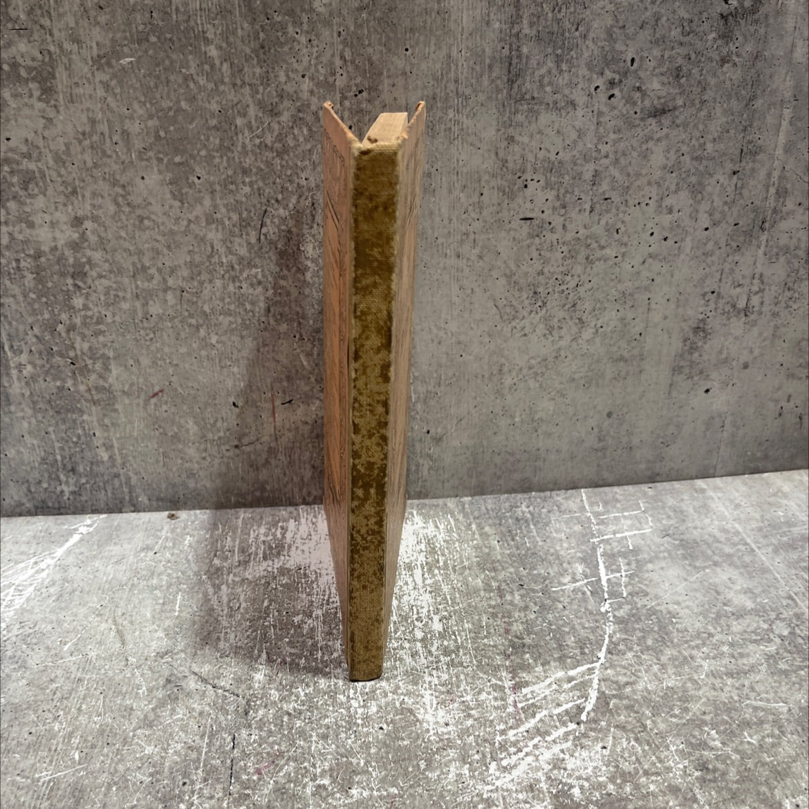 the progressive speller a complete spelling book arranged for advanced primary, intermediate, and grammar grades book, image 4