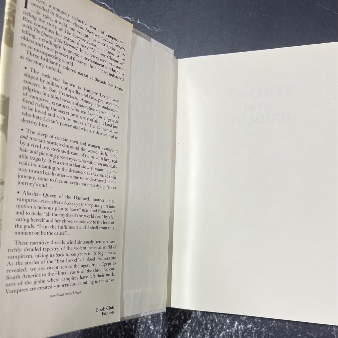 the queen of the damned book, by Anne Rice, 1988 Hardcover image 4