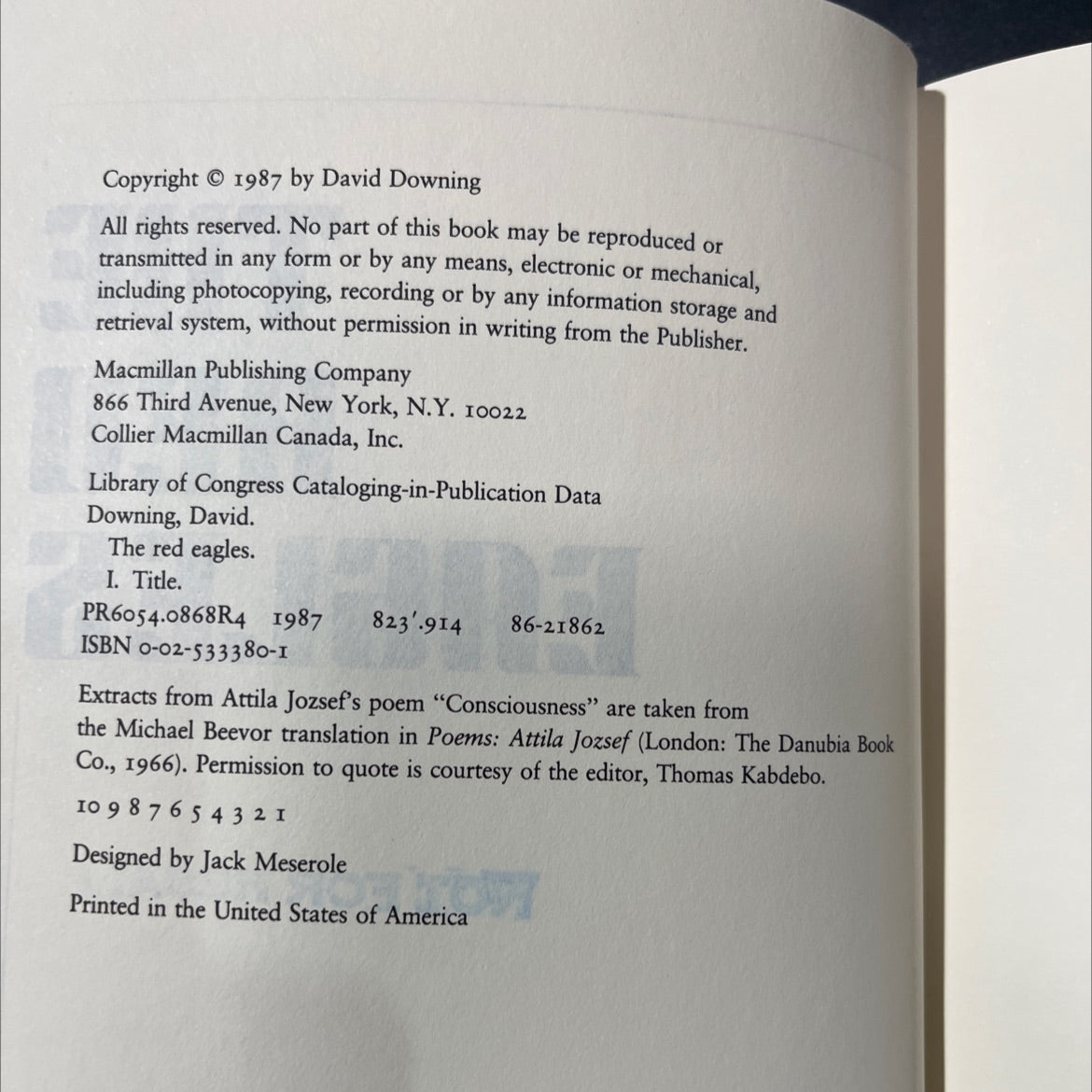 the red eagles book, by David Downing, 1987 Hardcover image 3