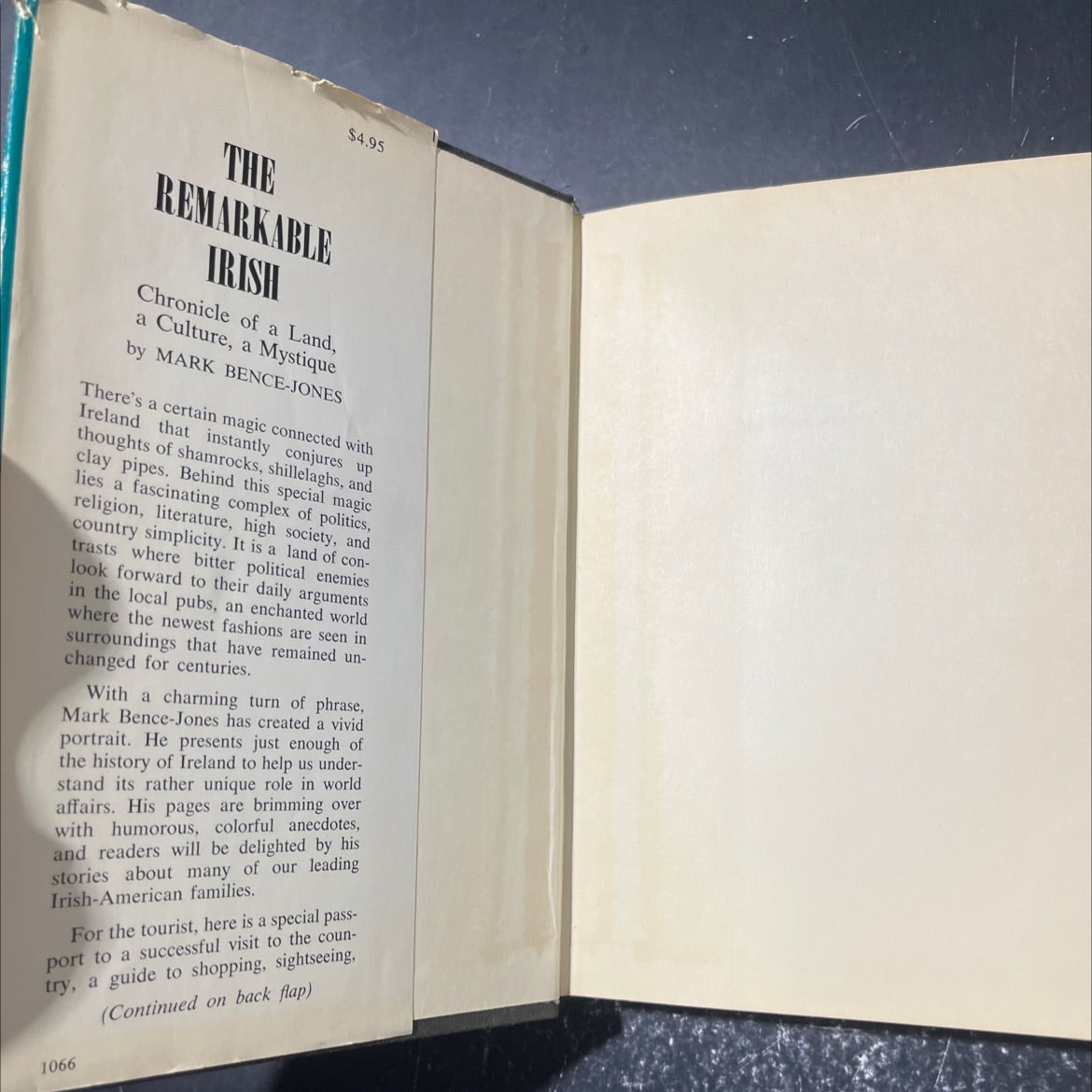 the remarkable irish chronicle of a land, a culture, a mystique book, by mark bence-jones, 1966 Hardcover image 4