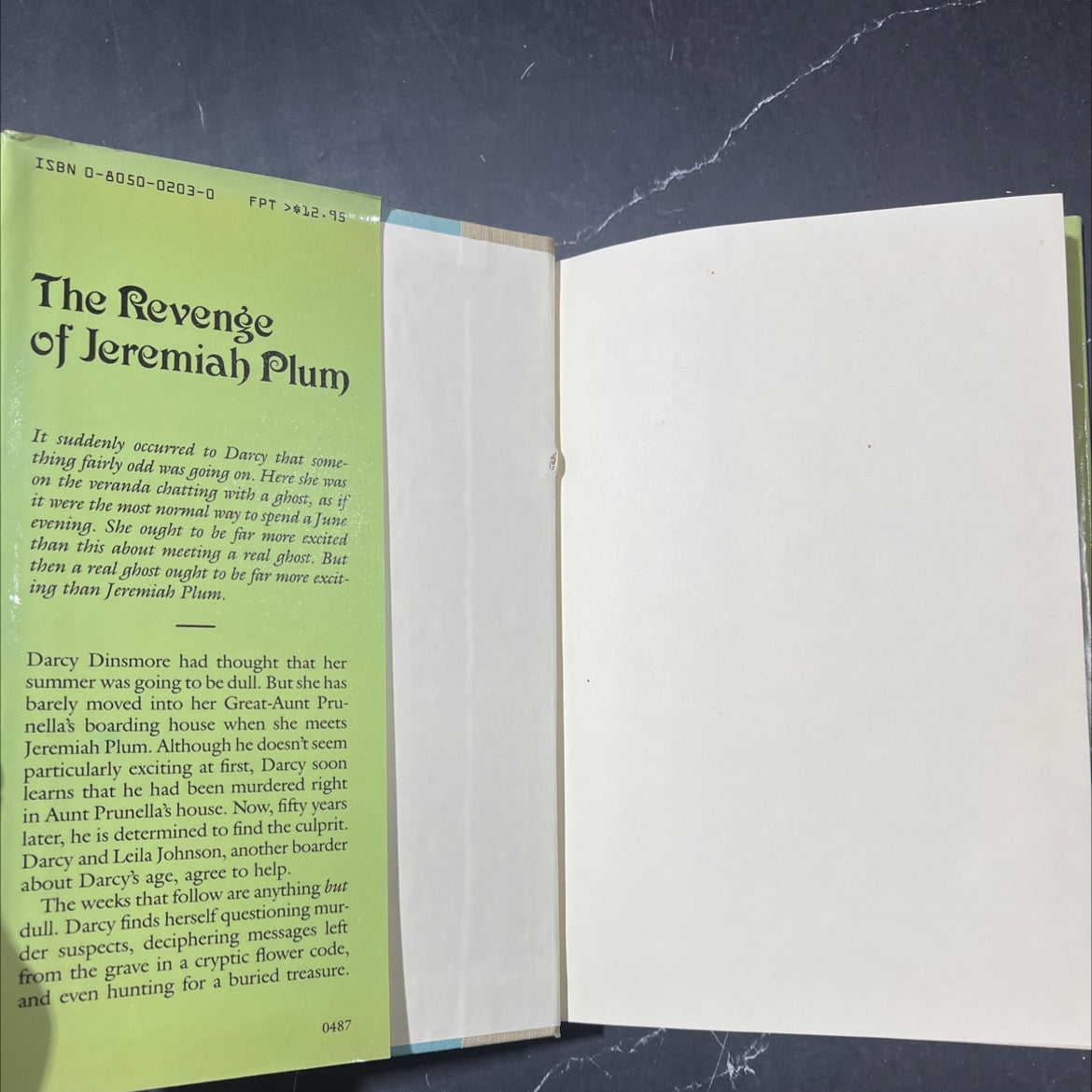 the revenge of jeremiah plum book, by Elizabeth Muskopf, 1987 Hardcover image 4