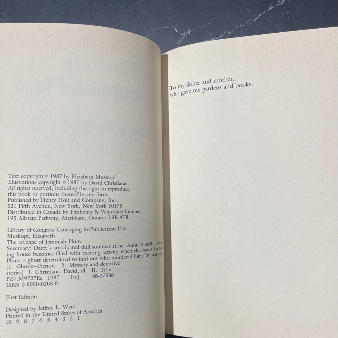 the revenge of jeremiah plum book, by Elizabeth Muskopf, 1987 Hardcover image 3