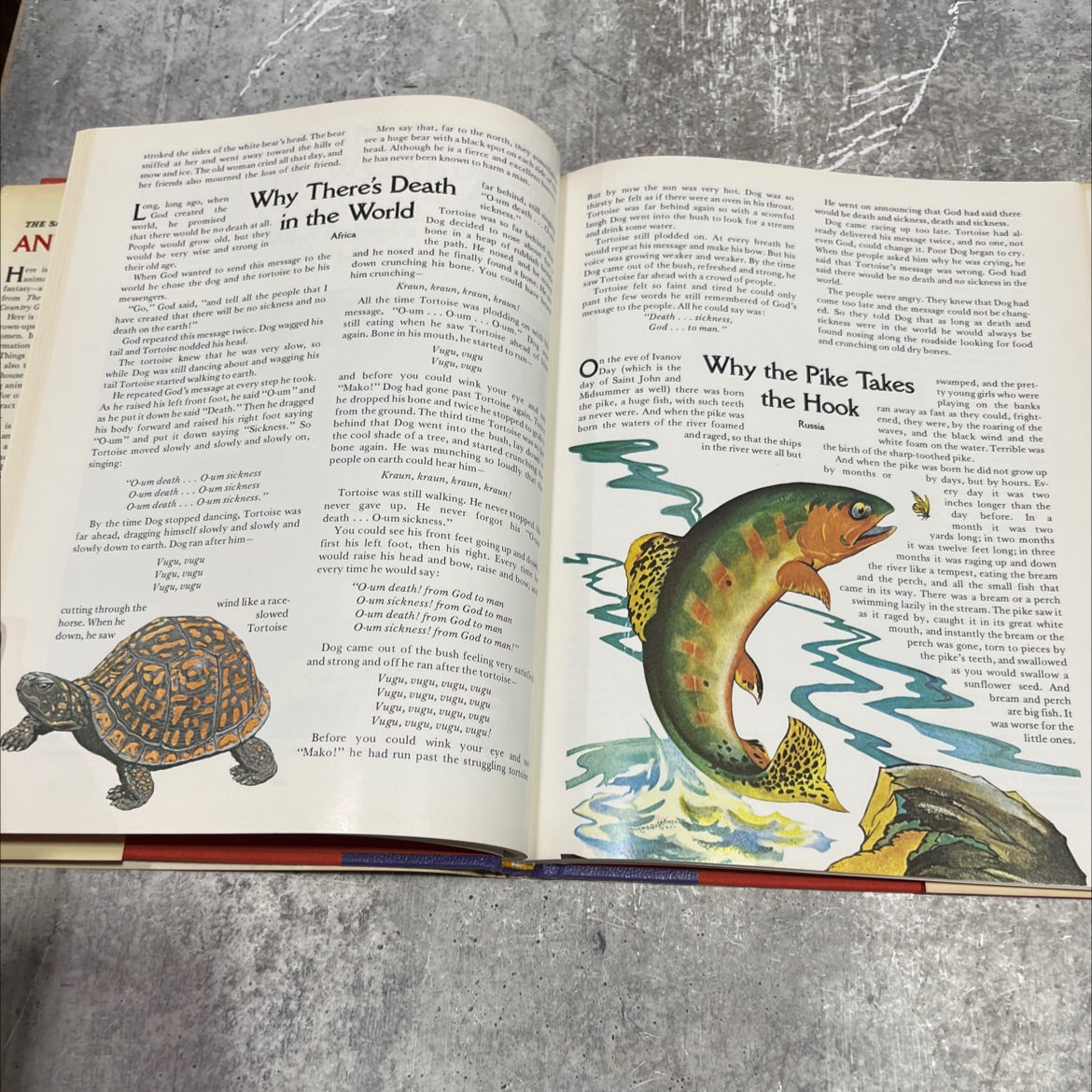 the saturday evening post animal book book, by jean white, 1978 Hardcover image 4
