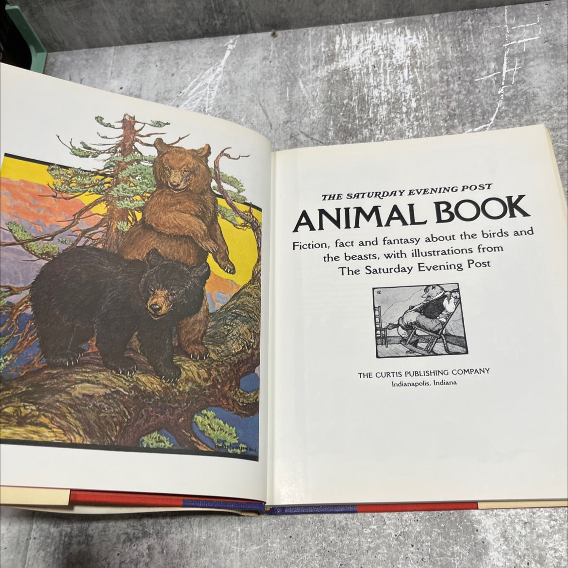 the saturday evening post animal book book, by jean white, 1978 Hardcover image 2